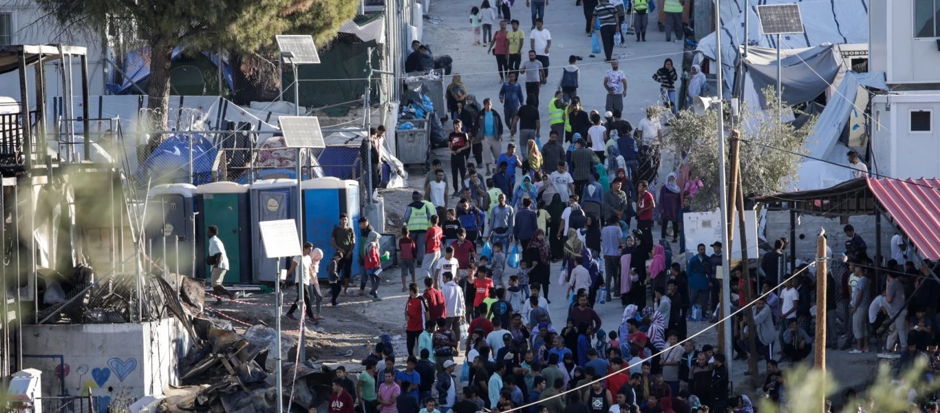 Μόρια: Οι αλλοδαποί λεηλατούν τα ελαιόδεντρα - Ανύπαρκτο το κράτος (βίντεο)